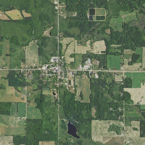 Aerial imagery of Remus Elementary School, MI