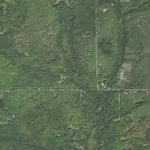 Aerial imagery of Mitchell Creek, MI