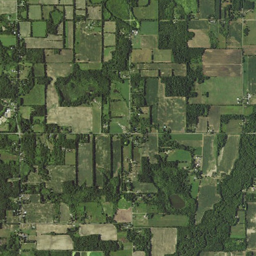 Aerial imagery of Monroe School, MI
