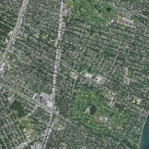 Aerial imagery of Monteith School, MI