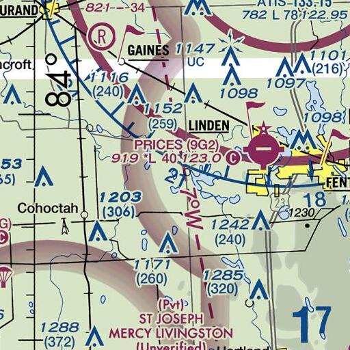 FAA VFR chart of Murray Lake, MI