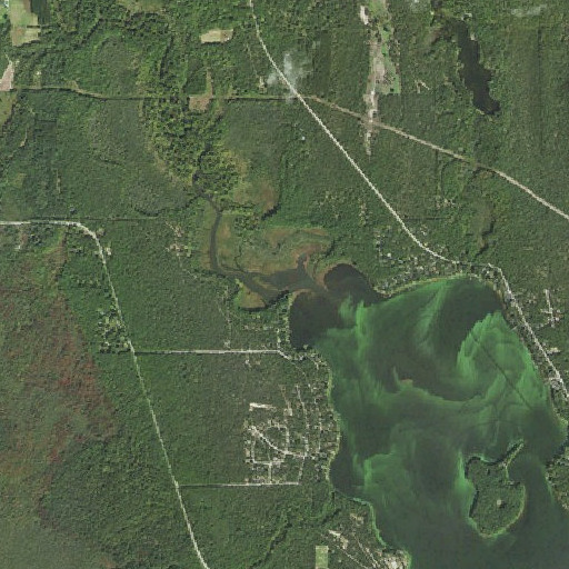 Aerial imagery of Pine River, MI