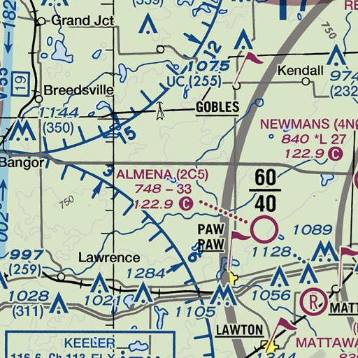 FAA VFR chart of Round Lake, MI