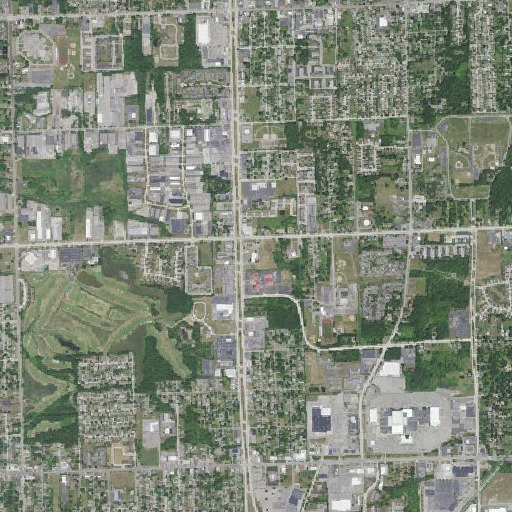 Aerial imagery of Saint Johns School, MI