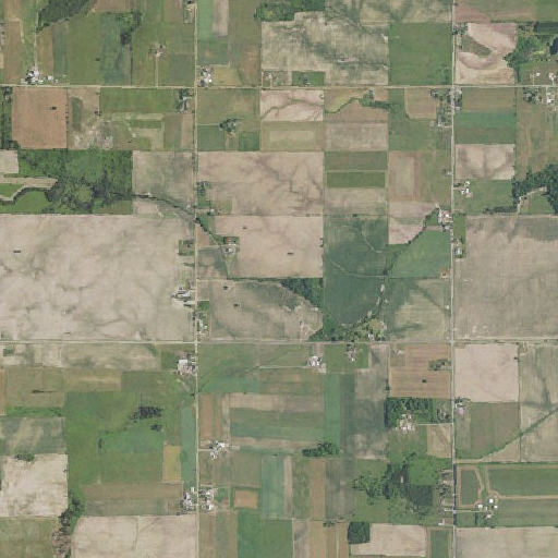 Aerial imagery of Shell Drain, MI