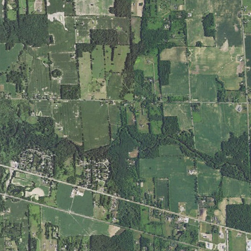 Aerial imagery of Squaw Creek, MI
