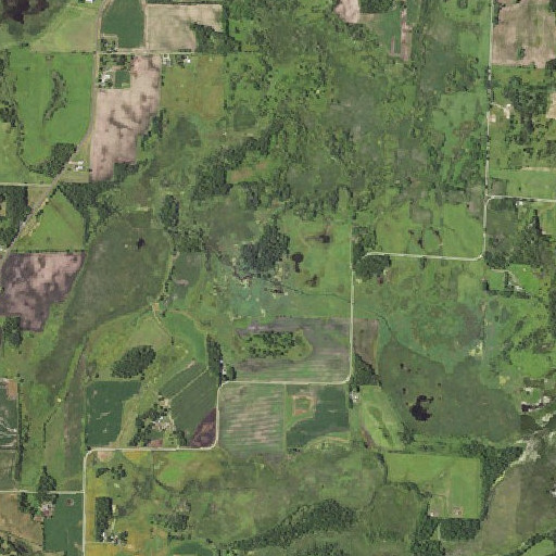 Aerial imagery of Baugh Creek, MN