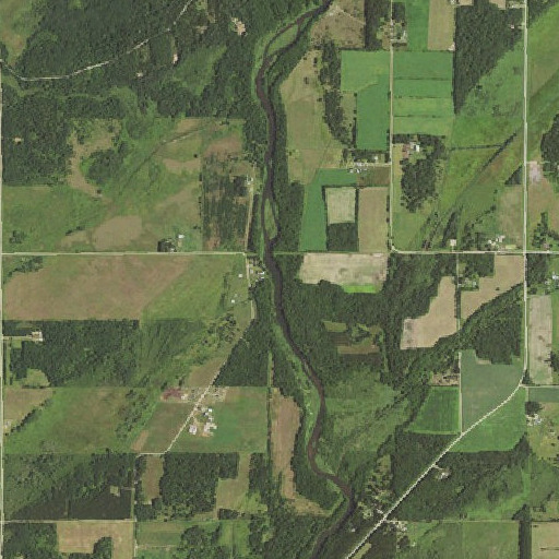 Aerial imagery of Burrows Rapids, MN