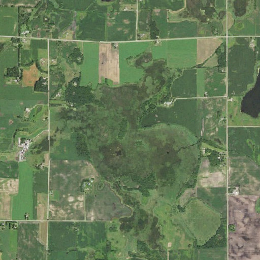 Aerial imagery of Grass Lake, MN