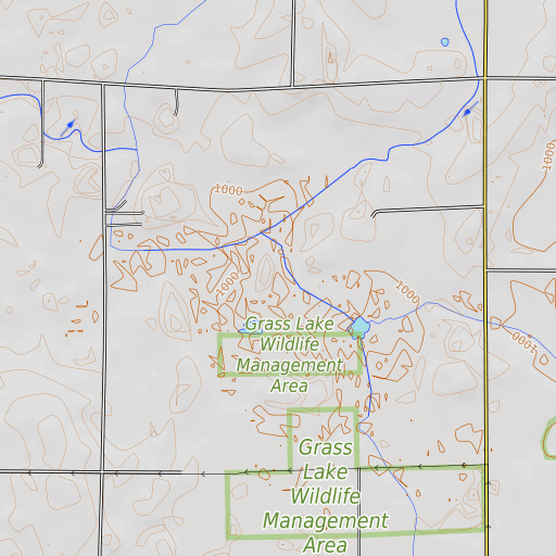 OpenTopoMap map of Grass Lake, MN