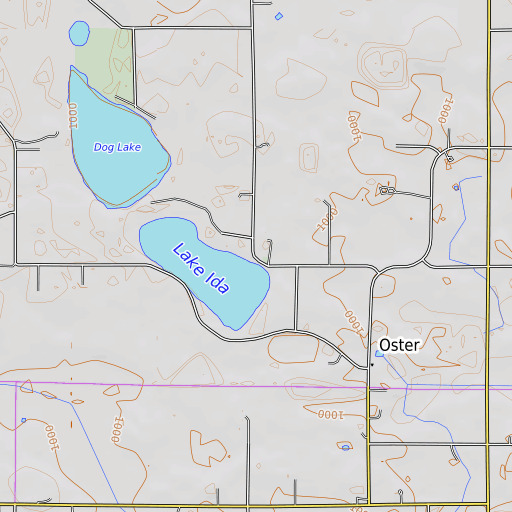 OpenTopoMap map of Lake Ida School, MN