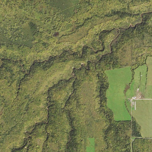 Aerial imagery of Little Net River, MN