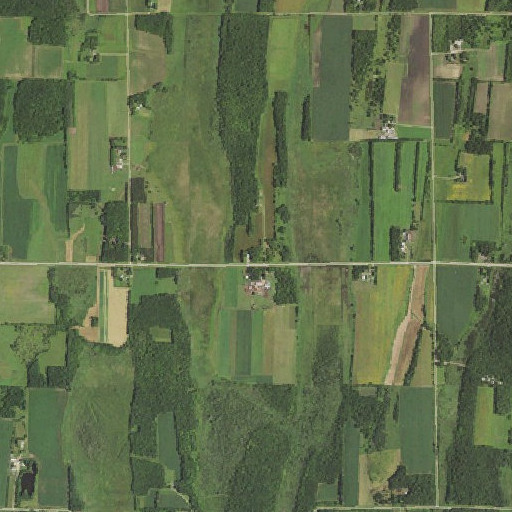 Aerial imagery of Maple Leaf School, MN