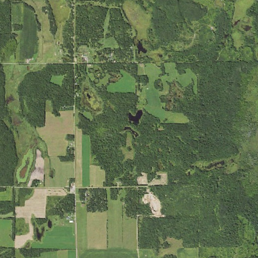 Aerial imagery of Moon Pond, MN