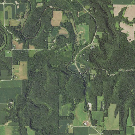 Aerial imagery of Partridge Creek, MN