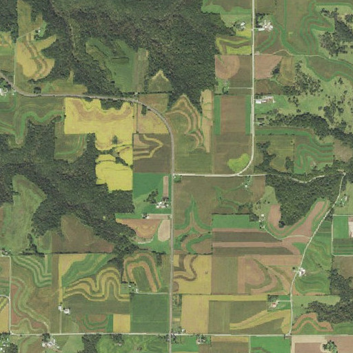 Aerial imagery of School Number 607, MN