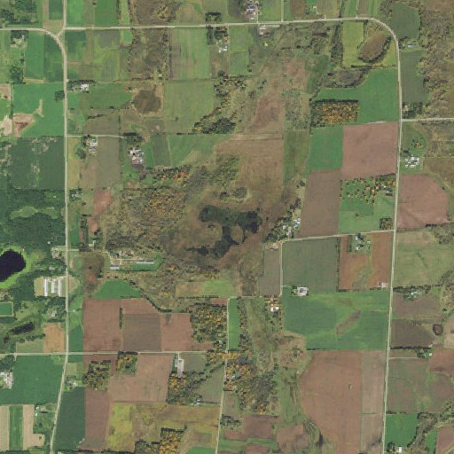 Aerial imagery of Tamarack Lake, MN
