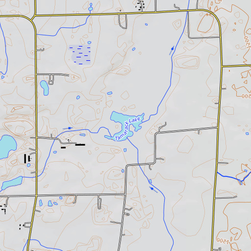 OpenTopoMap map of Tamarack Lake, MN