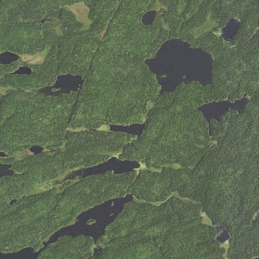 Aerial imagery of Anit Lake, MN