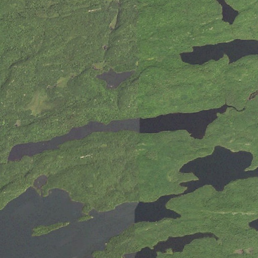 Aerial imagery of Echo Lake, MN