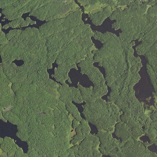 Aerial imagery of Fool Lake, MN