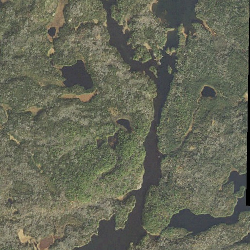 Aerial imagery of Frolic Lake, MN