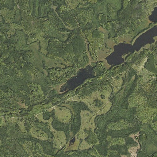 Aerial imagery of Jack Lake, MN