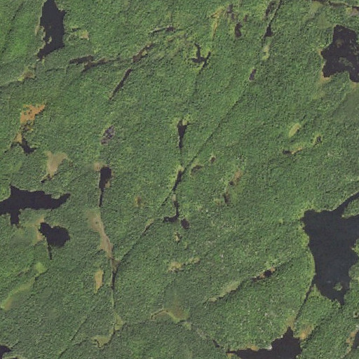 Aerial imagery of Lean Lake, MN