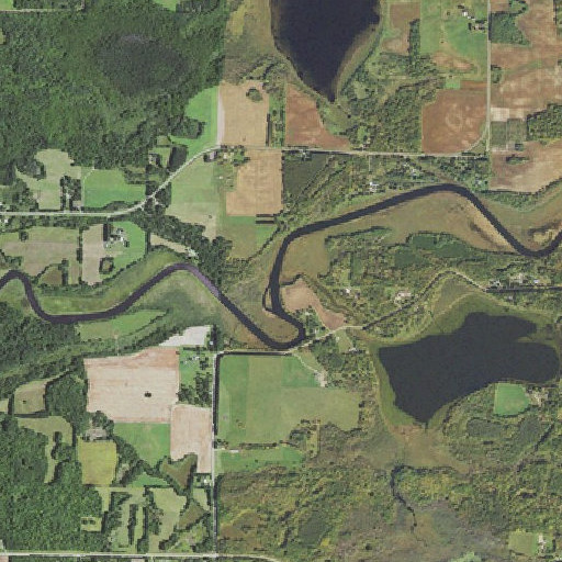 Aerial imagery of Rice Creek, MN