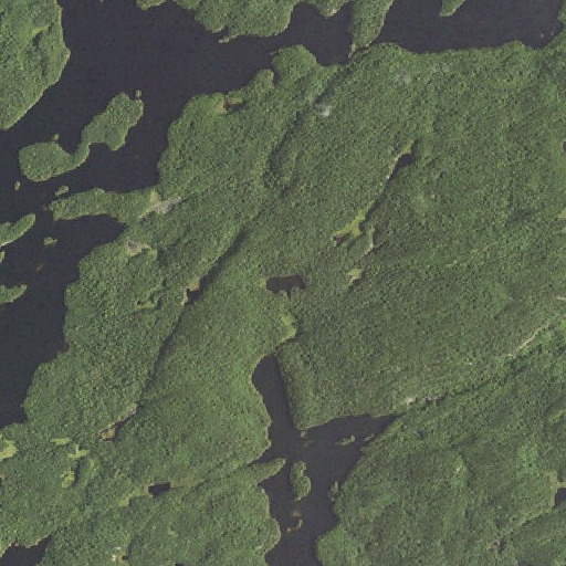Aerial imagery of Tiny Lake, MN