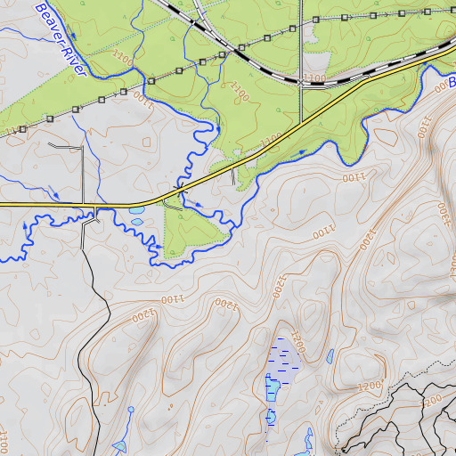 OpenTopoMap map of West Branch Beaver River, MN