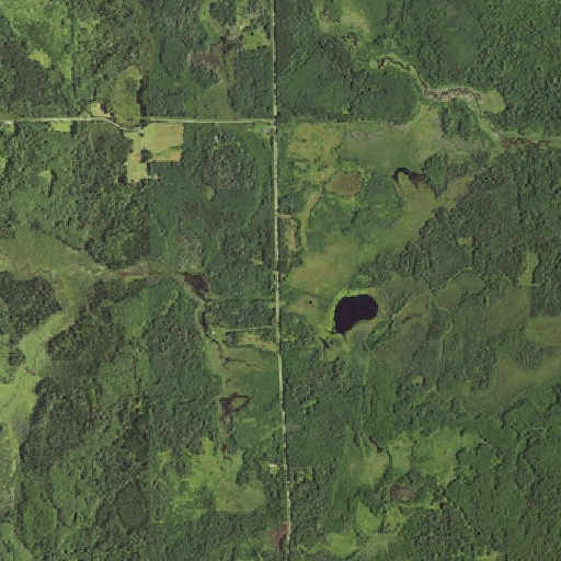 Aerial imagery of Anderson School, MN