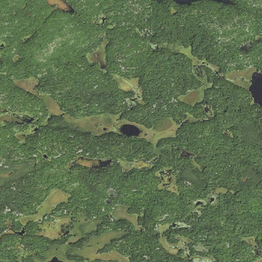 Aerial imagery of Mud Lake, MN