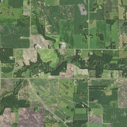 Aerial imagery of Bear Creek, MN