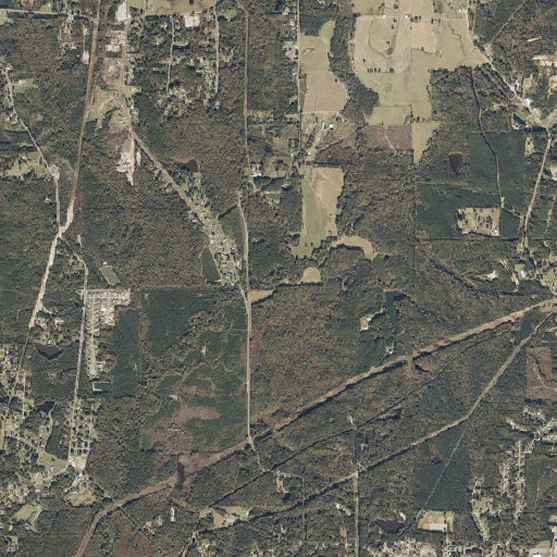 Aerial imagery of Bailey Branch, MS