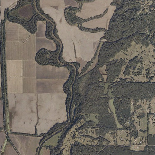 Aerial imagery of Big Bayou, MS