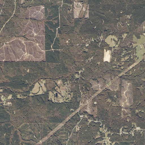 Aerial imagery of Perry Branch, MS