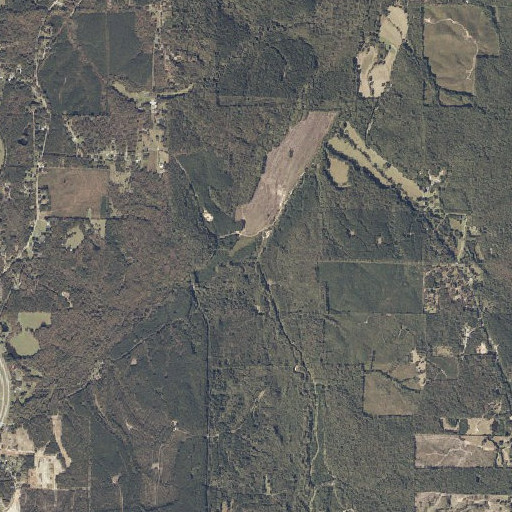 Aerial imagery of Pickens Branch, MS