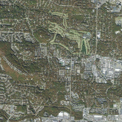 Aerial imagery of Pulaski Academy, AR