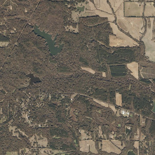 Aerial imagery of Sandy Creek, MS