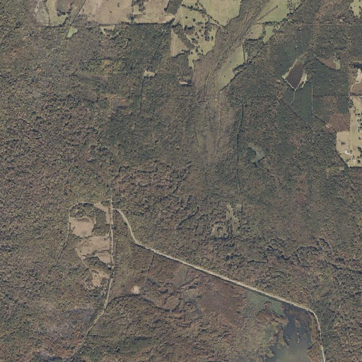 Aerial imagery of Shaw Creek, MS