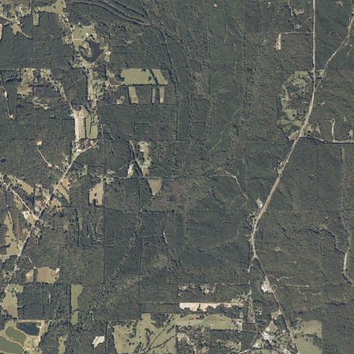 Aerial imagery of Tanyard Branch, MS