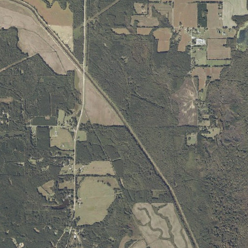 Aerial imagery of Tynes Branch, MS