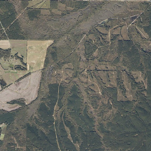 Aerial imagery of Utley Branch, MS