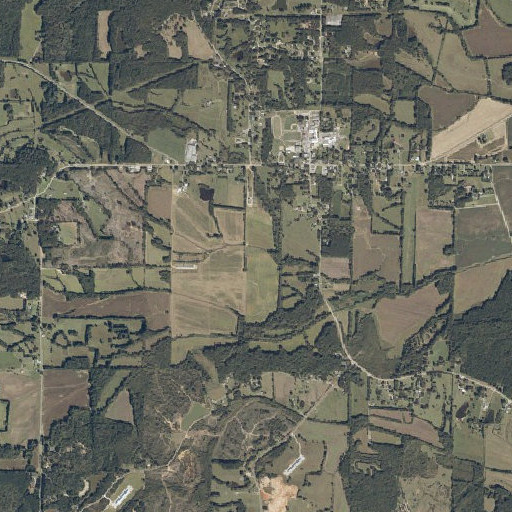Aerial imagery of Wallace Branch, MS