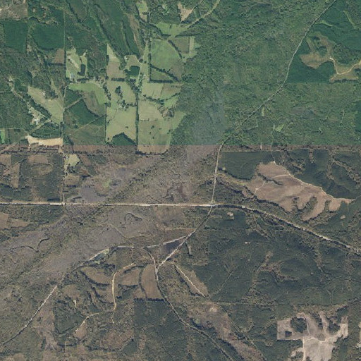 Aerial imagery of Wardlow Branch, MS