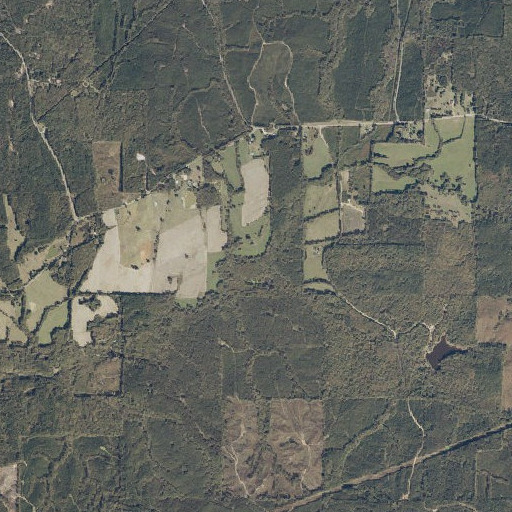 Aerial imagery of Ware Branch, MS
