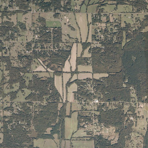 Aerial imagery of Browns Branch, MS