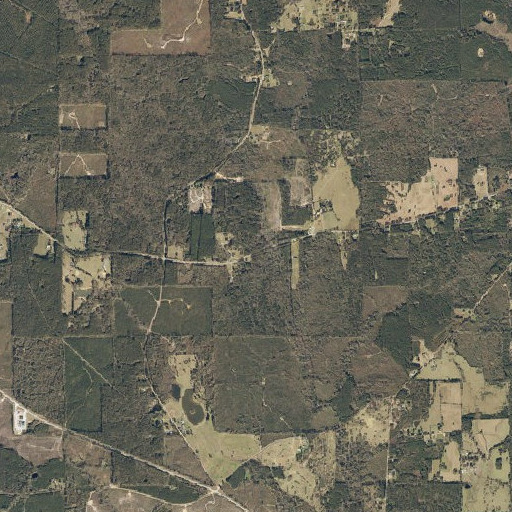 Aerial imagery of Bates School (historical), MS