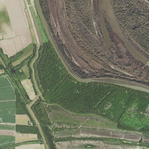 Aerial imagery of Palmyra Bend, MS